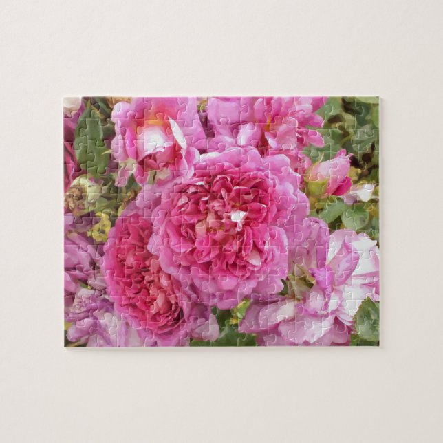 Rosa Rose (Horizontal)