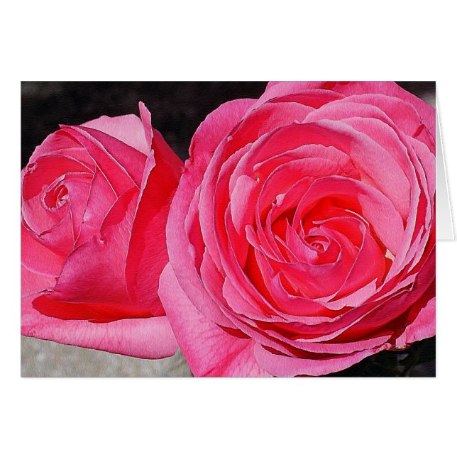 Rosa Rose (Vorderseite (Horizontal))