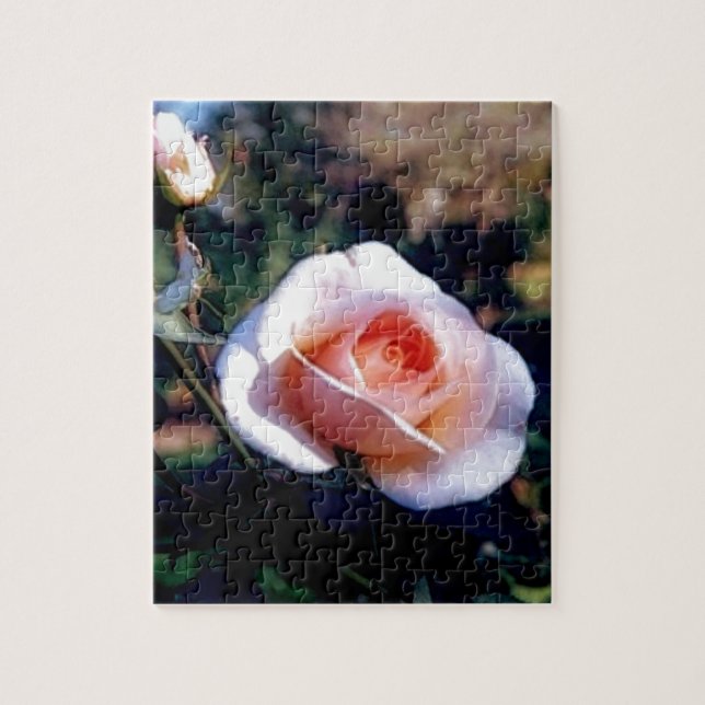 Rosa Rose (Vertikal)