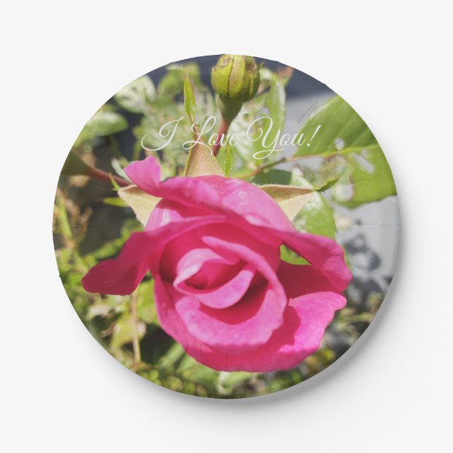 Rosa Rose #2 Pappteller (Vorderseite)