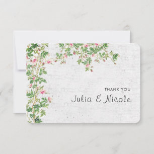 Rosa Rose Alte Wand Vintage Stilzeitschrift Hochze