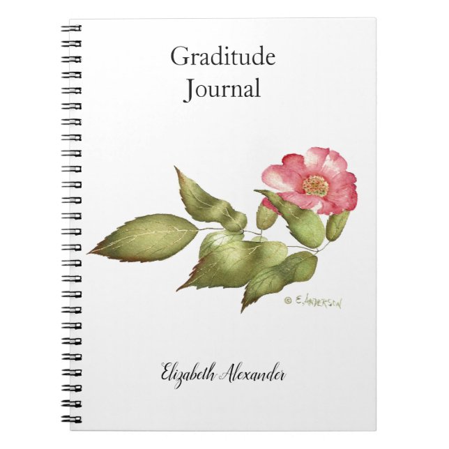 Rosa Rose Aquarell Blume Notizblock (Vorderseite)