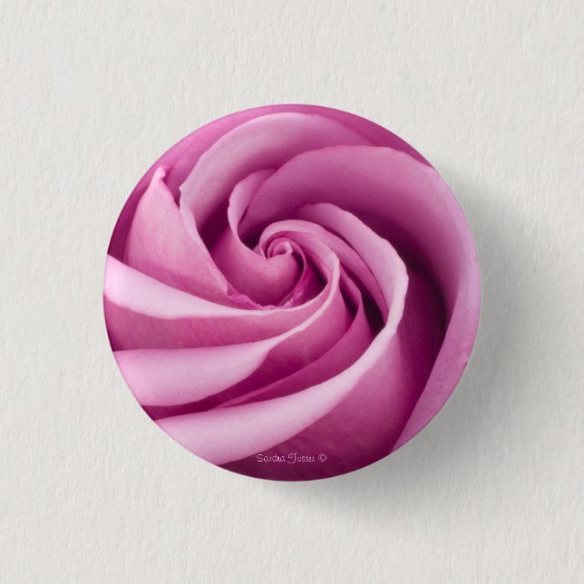 Rosa Rose auf Perfektionierungstaste geklappt Button (Vorderseite)