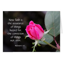 Rosa Rose, Bibelverse (Hebräer) über Hoffnung