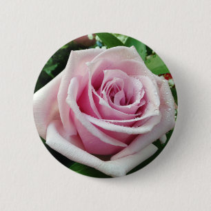 Rosa Rose Blumenaste Button