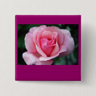 Rosa Rose Button