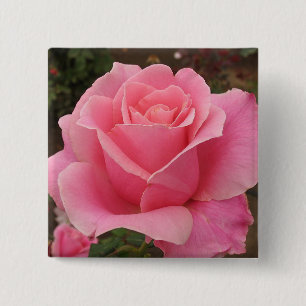 Rosa Rose Button