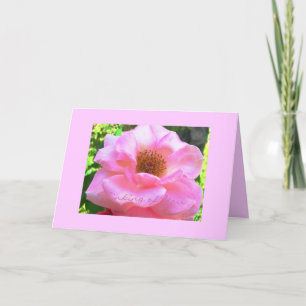 "rosa Rose"… Das Denken an Sie kardieren Karte