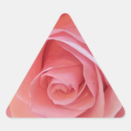Rosa Rose Dreieckiger Aufkleber