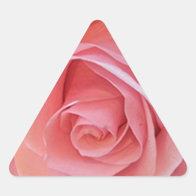 Rosa Rose Dreieckiger Aufkleber (Vorderseite)