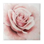 Rosa Rose Fliese<br><div class="desc">Rosa Rose I von Grace Popp. Eine nahe Rose in einer wunderschönen abgestuften Palette.</div>