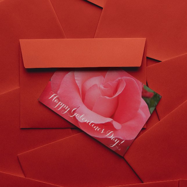 Rosa-Rose-Galentinstag Feiertagskarte (In Situ)