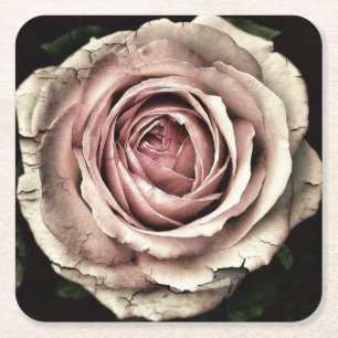 Rosa Rose gestört - Papier Untersetzer