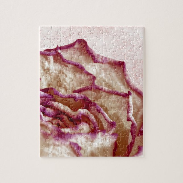 Rosa Rose getrocknet (Vertikal)