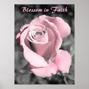 Rosa-Rose-Glaube Poster