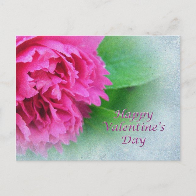 Rosa Rose glücklicher Valentinstag Feiertagspostkarte (Vorderseite)