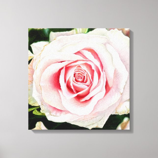 Rosa Rose Handgezeichnet Stift Kunstdrucken Leinwanddruck (Vorderseite)