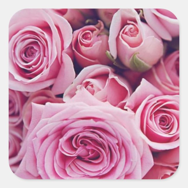 Rosa-Rose-Hochzeitskleber Quadratischer Aufkleber (Vorderseite)