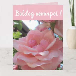 Rosa Rose im Garten - Ungarischer Namenstag Karte