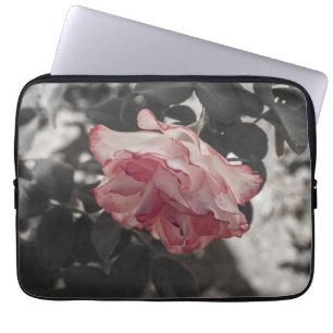Rosa Rose im Schwarz-Weiß-Foto Laptopschutzhülle