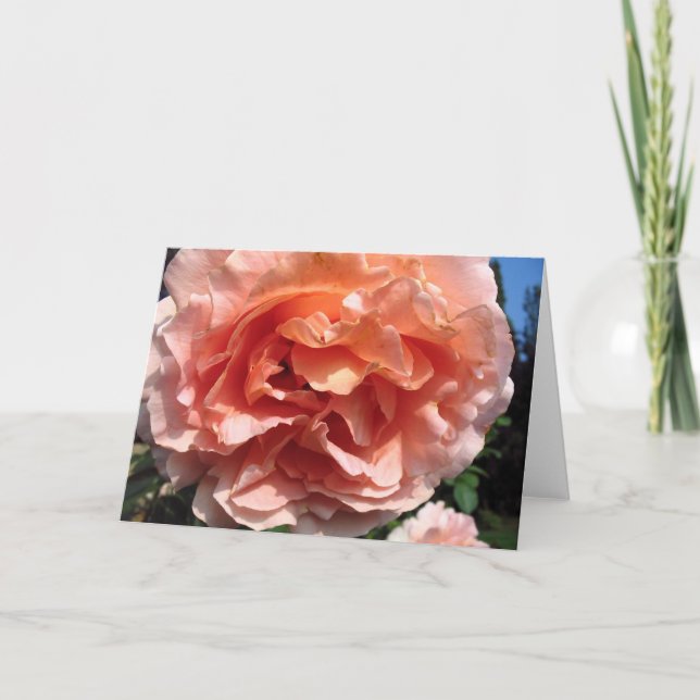 Rosa Rose Karte (Vorderseite)