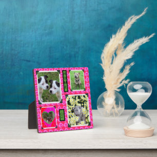 Rosa Rose Kisses mit Staffordshire Bull Terriers, Fotoplatte