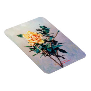 Rosa/Rose Magnet