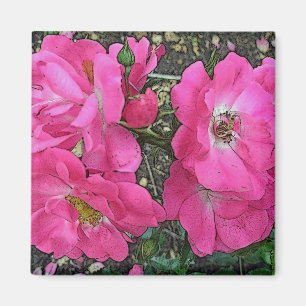 Rosa Rose Magnet