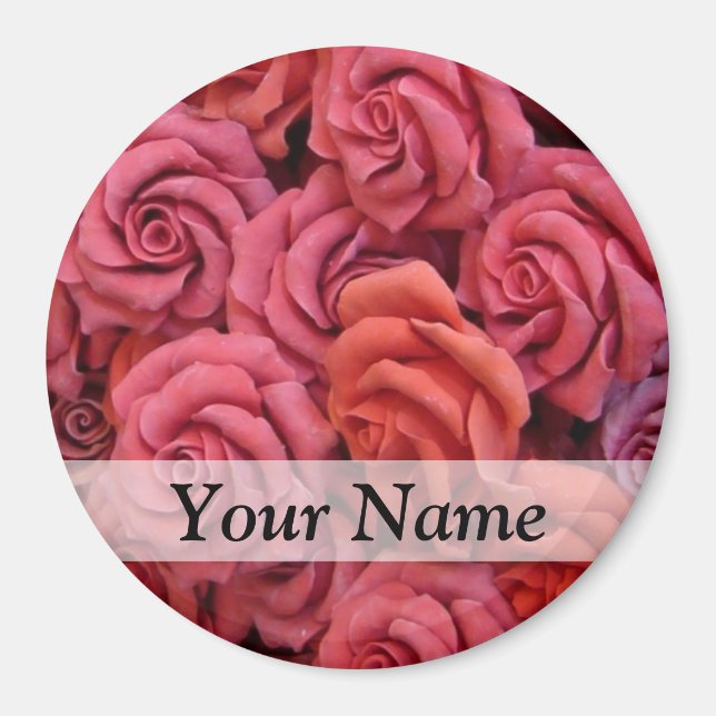 Rosa Rose Magnet (Vorne)