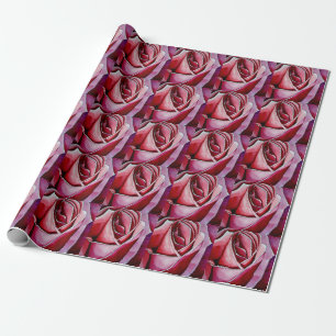 Rosa Rose Makro Blume Valentine Packpapier