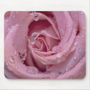 Rosa Rose mit Dewdrops Mousepad