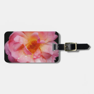 Rosa Rose mit schwarzem Hintergrund/ Taubenschlag Gepäckanhänger