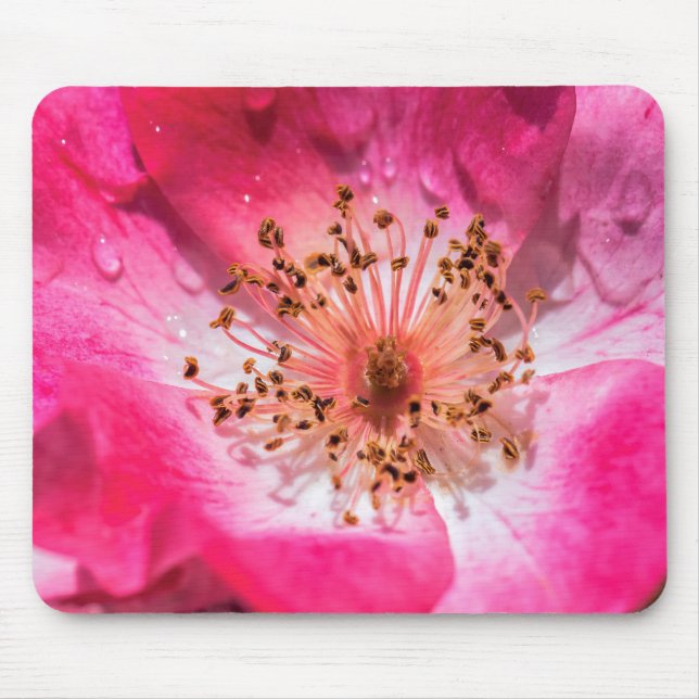 Rosa Rose Mousepad (Vorne)