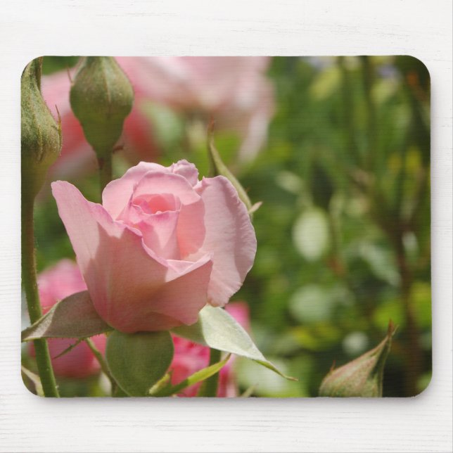 Rosa Rose Mousepad (Vorne)