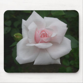 Rosa Rose Mousepad