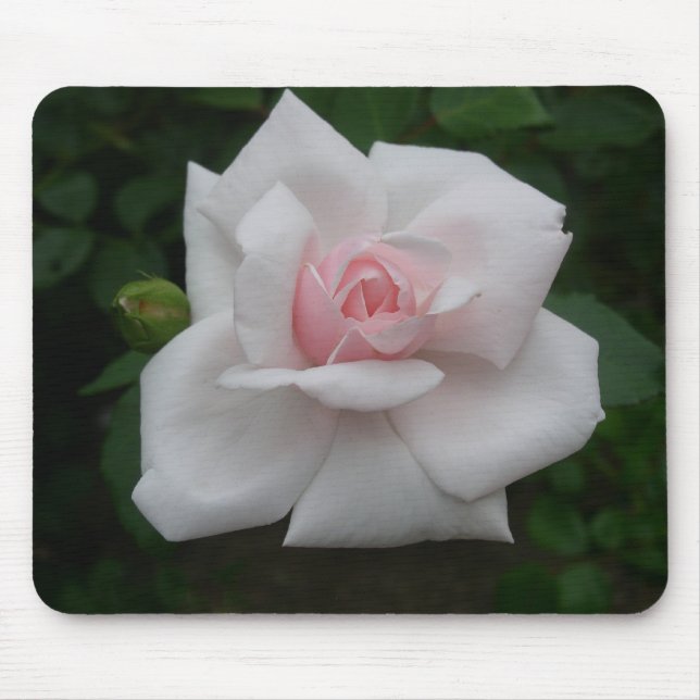 Rosa Rose Mousepad (Vorne)