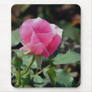 Rosa Rose Mousepad