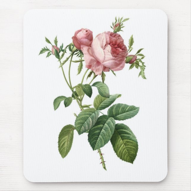 Rosa Rose Mousepad (Vorne)