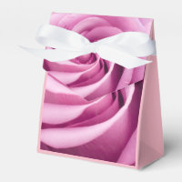 Rosa Rose nach Perfektion geklappt