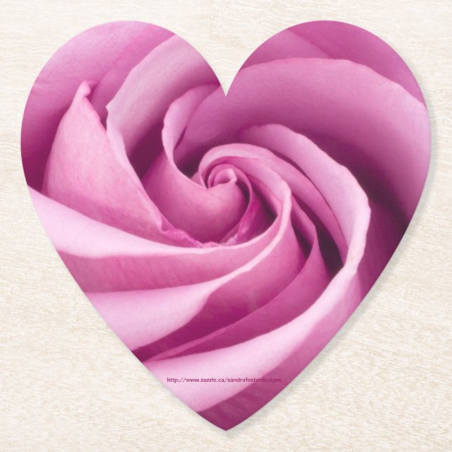 Rosa Rose nach Perfektion geklappt Untersetzer (Vorderseite)
