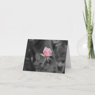Rosa Rose NoteCard (freier Raum nach innen) Karte