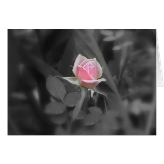 Rosa Rose NoteCard (freier Raum nach innen) Karte