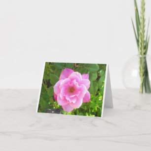 Rosa Rose Notecard Karte