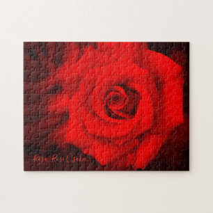 Rosa "Rose Osaka" [Jigsaw Puzzle: 252P]