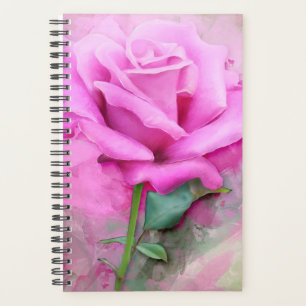Rosa Rose Planer