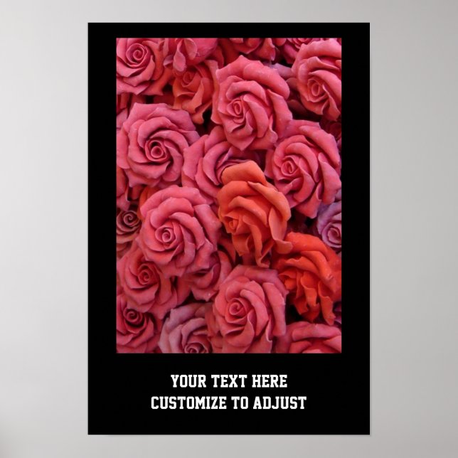 Rosa Rose Poster (Vorne)
