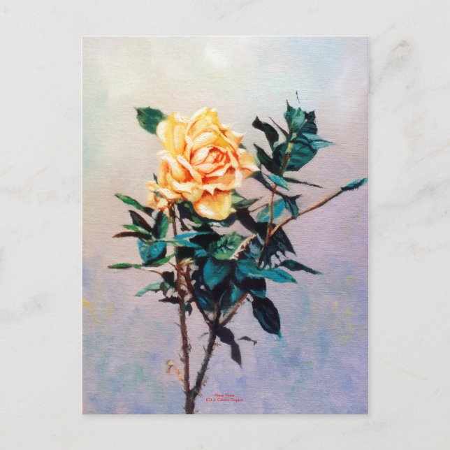 Rosa/Rose Postkarte (Vorderseite)
