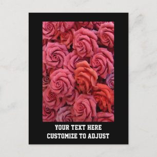Rosa Rose Postkarte