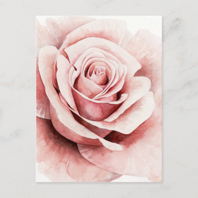 Rosa Rose Postkarte (Vorderseite)