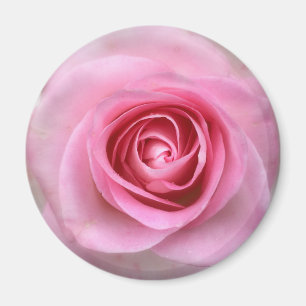 Rosa Rose Round Magnet